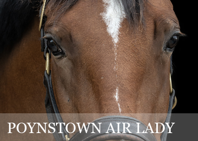 Poynstown Air Lady
